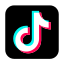 TikTok social icon